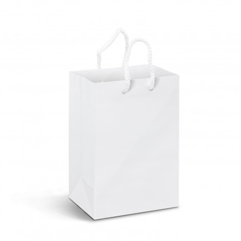 small-laminated-paper-carry-bag-full-colour - Image 2