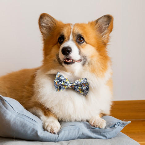 amigo-pet-bow-tie - Image 4